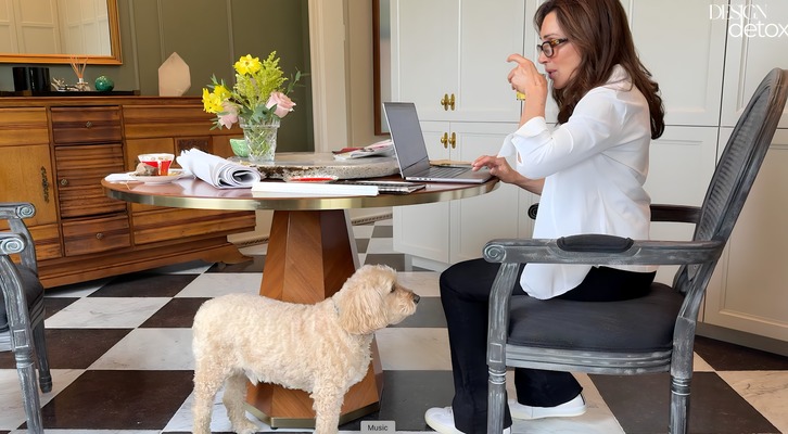 dog with woman home office